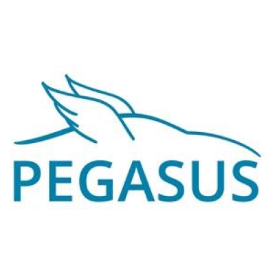 PEGASUS.Oi4ZRzvr